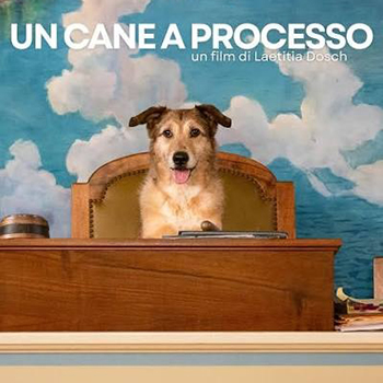 UN CANE A PROCESSO domenica 16 e lunedì 17 agosto ore 21:30
